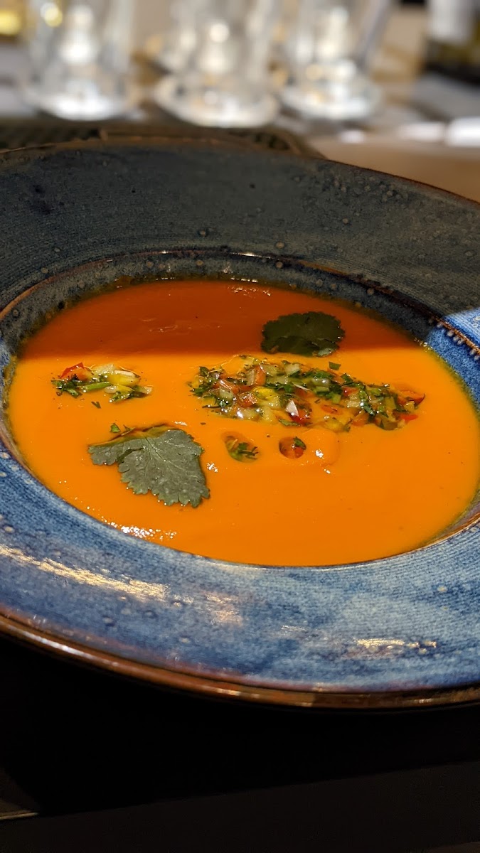 Restauracja Nova 22 - 4 Strony Swiata-10